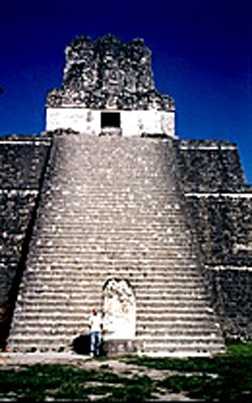 Tikal-T2-Bottom2.jpg (17073 bytes)