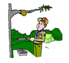Troop 29 Cook Book