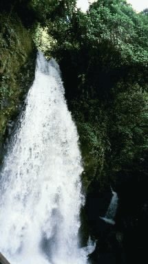 CR-Catarata La Paz Up High.jpg (21742 bytes)